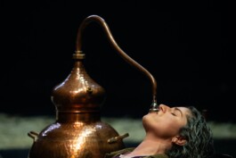 Luísa Saraiva